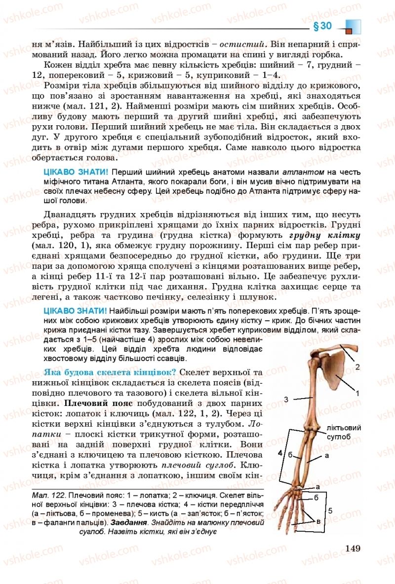 Страница 149 | Підручник Біологія 8 клас Н.Ю. Матяш 2016