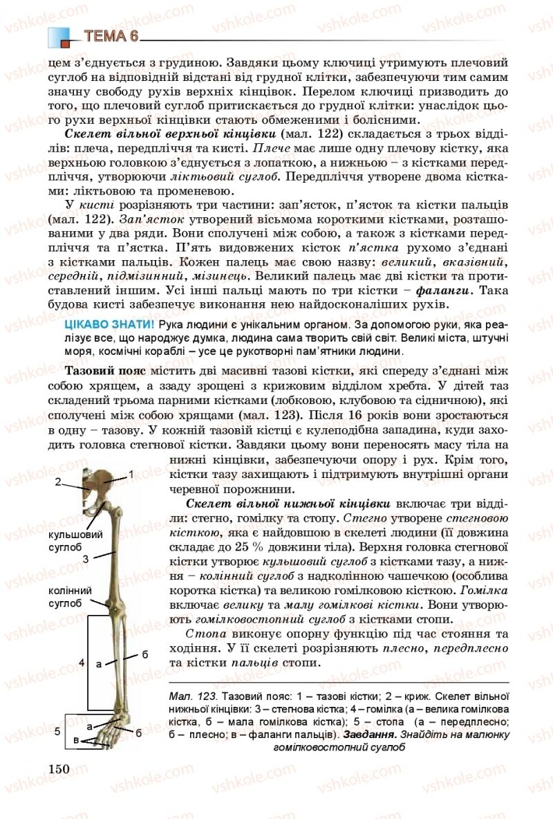 Страница 150 | Підручник Біологія 8 клас Н.Ю. Матяш 2016