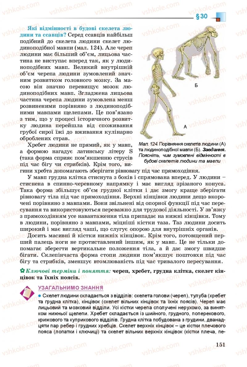 Страница 151 | Підручник Біологія 8 клас Н.Ю. Матяш 2016