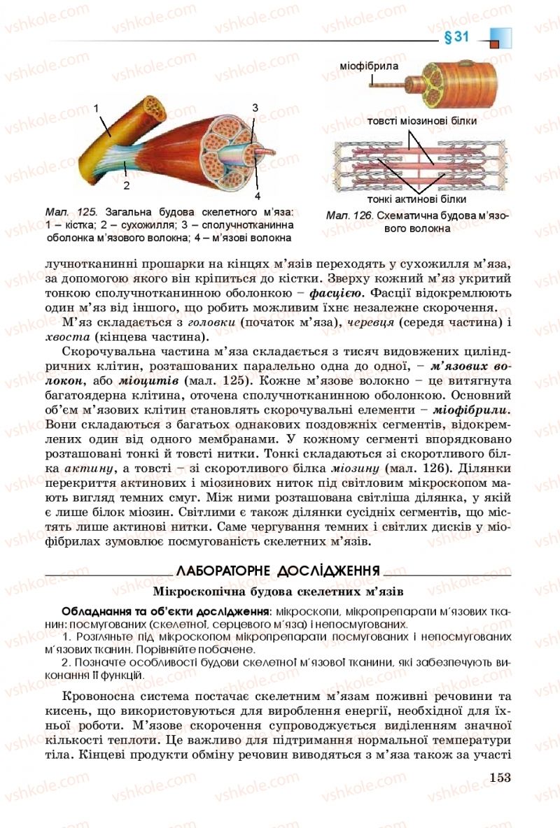 Страница 153 | Підручник Біологія 8 клас Н.Ю. Матяш 2016