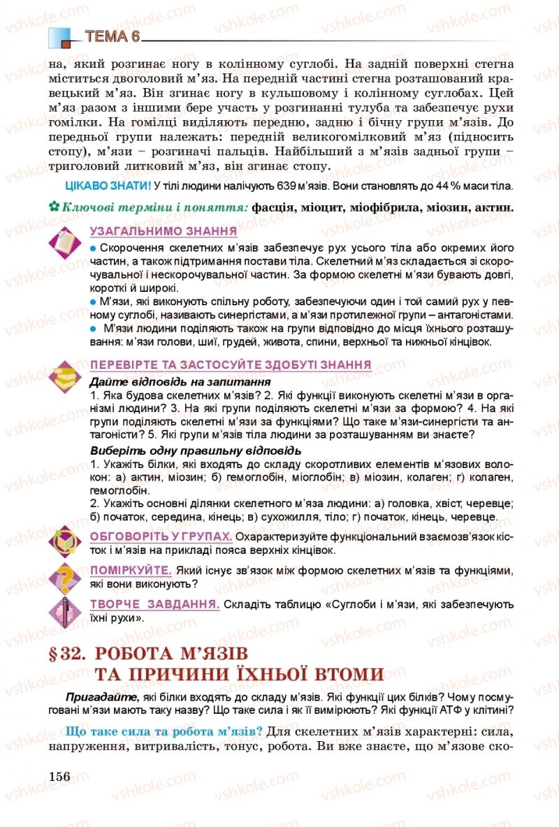 Страница 156 | Підручник Біологія 8 клас Н.Ю. Матяш 2016