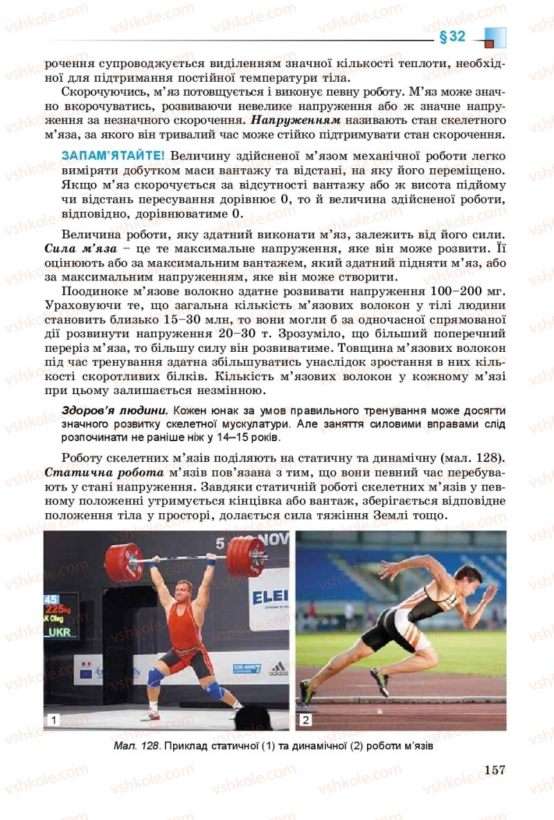 Страница 157 | Підручник Біологія 8 клас Н.Ю. Матяш 2016