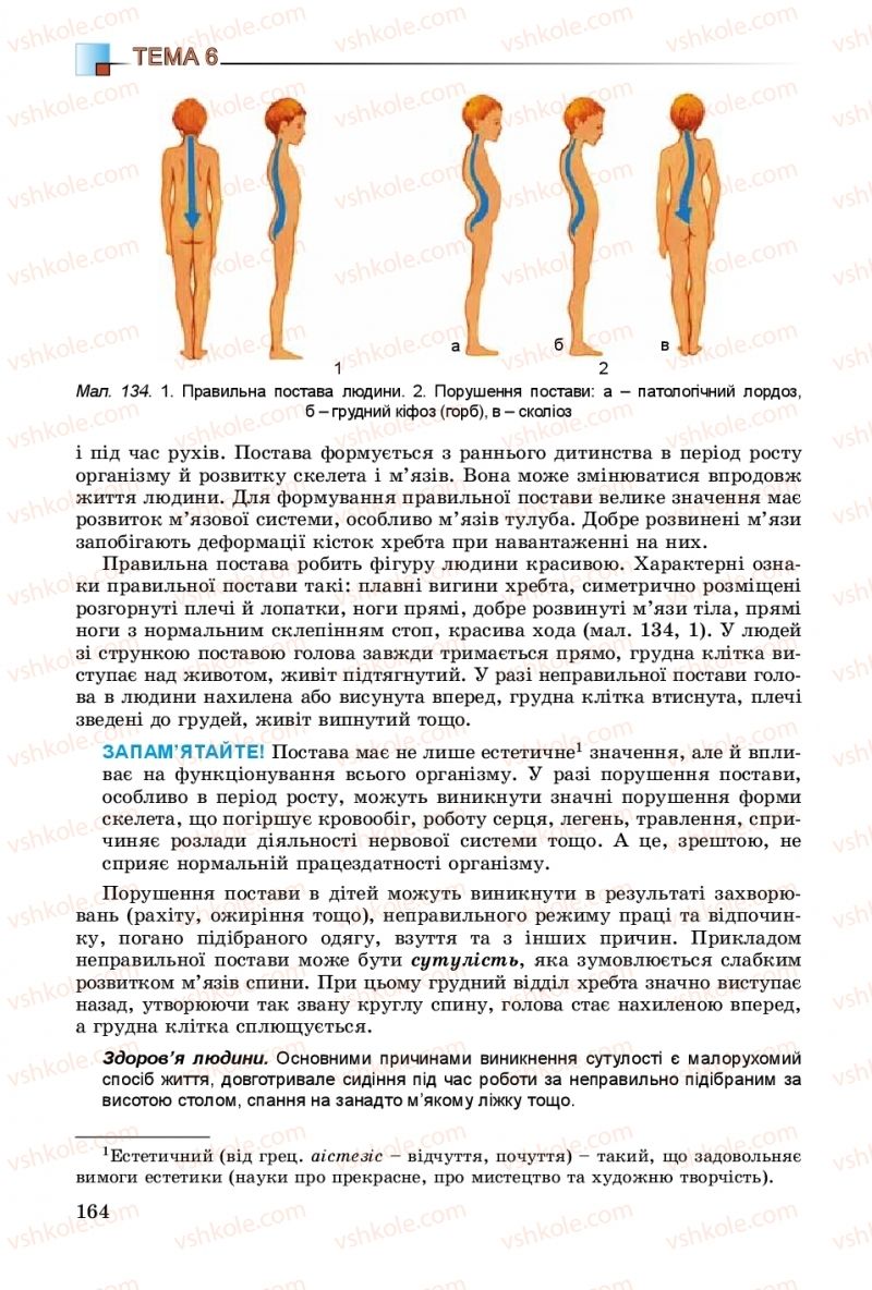 Страница 164 | Підручник Біологія 8 клас Н.Ю. Матяш 2016