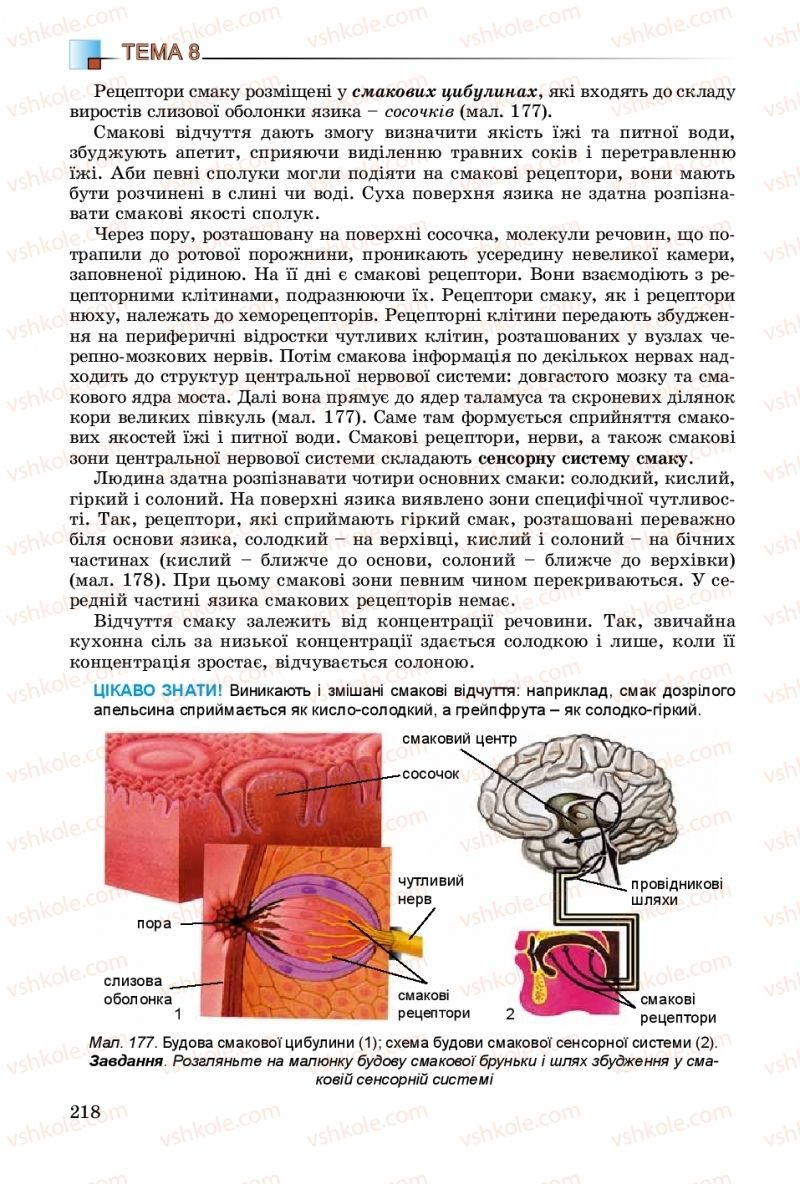 Страница 218 | Підручник Біологія 8 клас Н.Ю. Матяш 2016