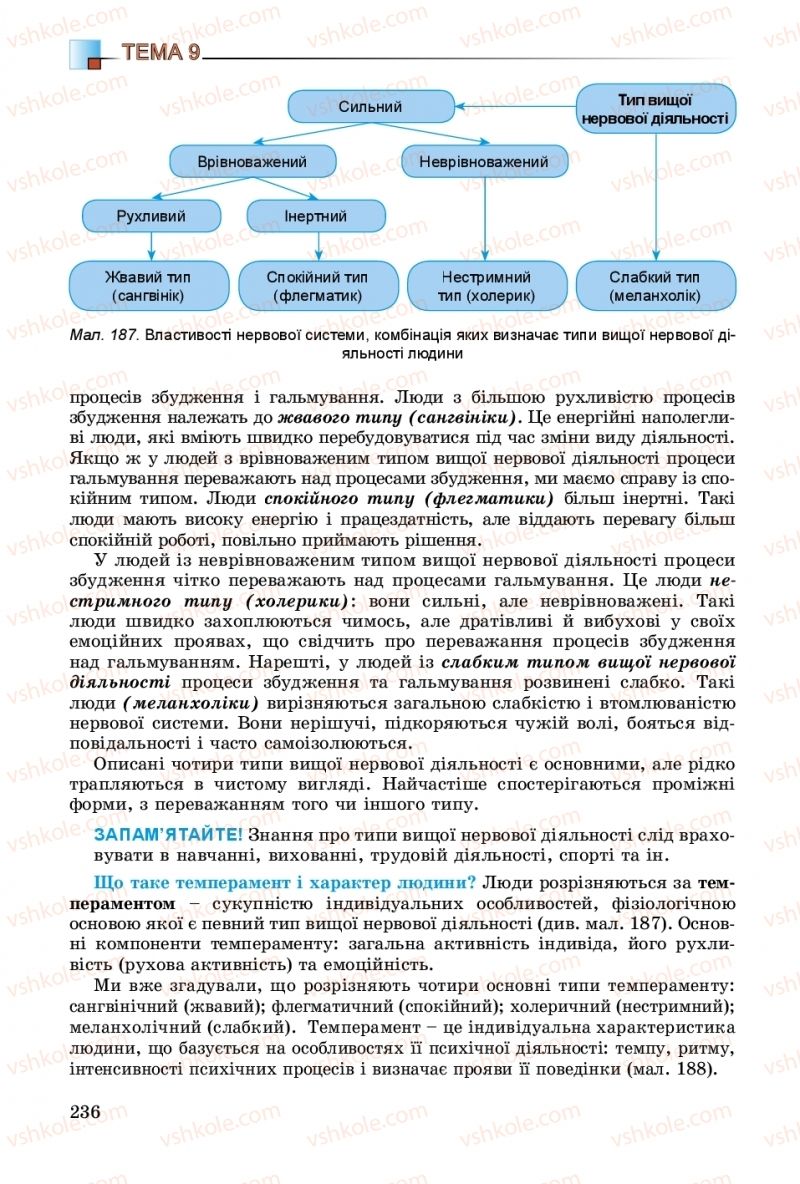 Страница 236 | Підручник Біологія 8 клас Н.Ю. Матяш 2016