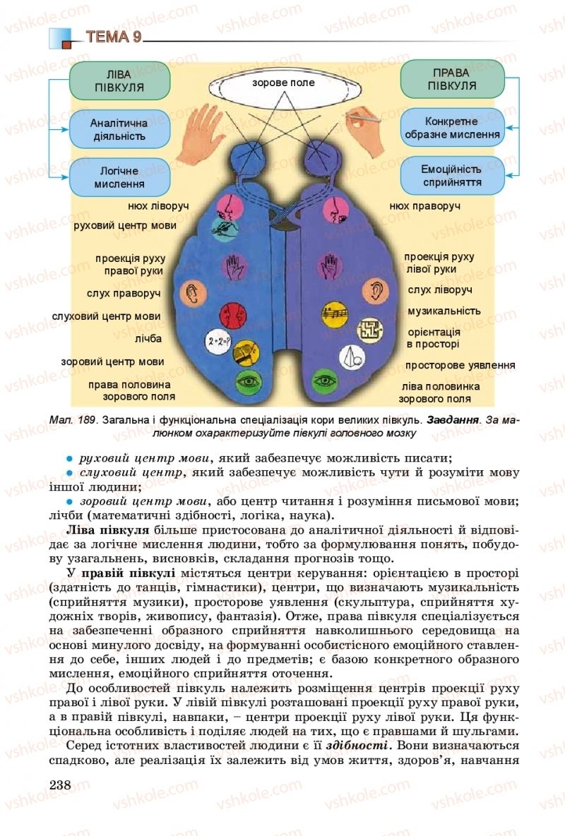 Страница 238 | Підручник Біологія 8 клас Н.Ю. Матяш 2016