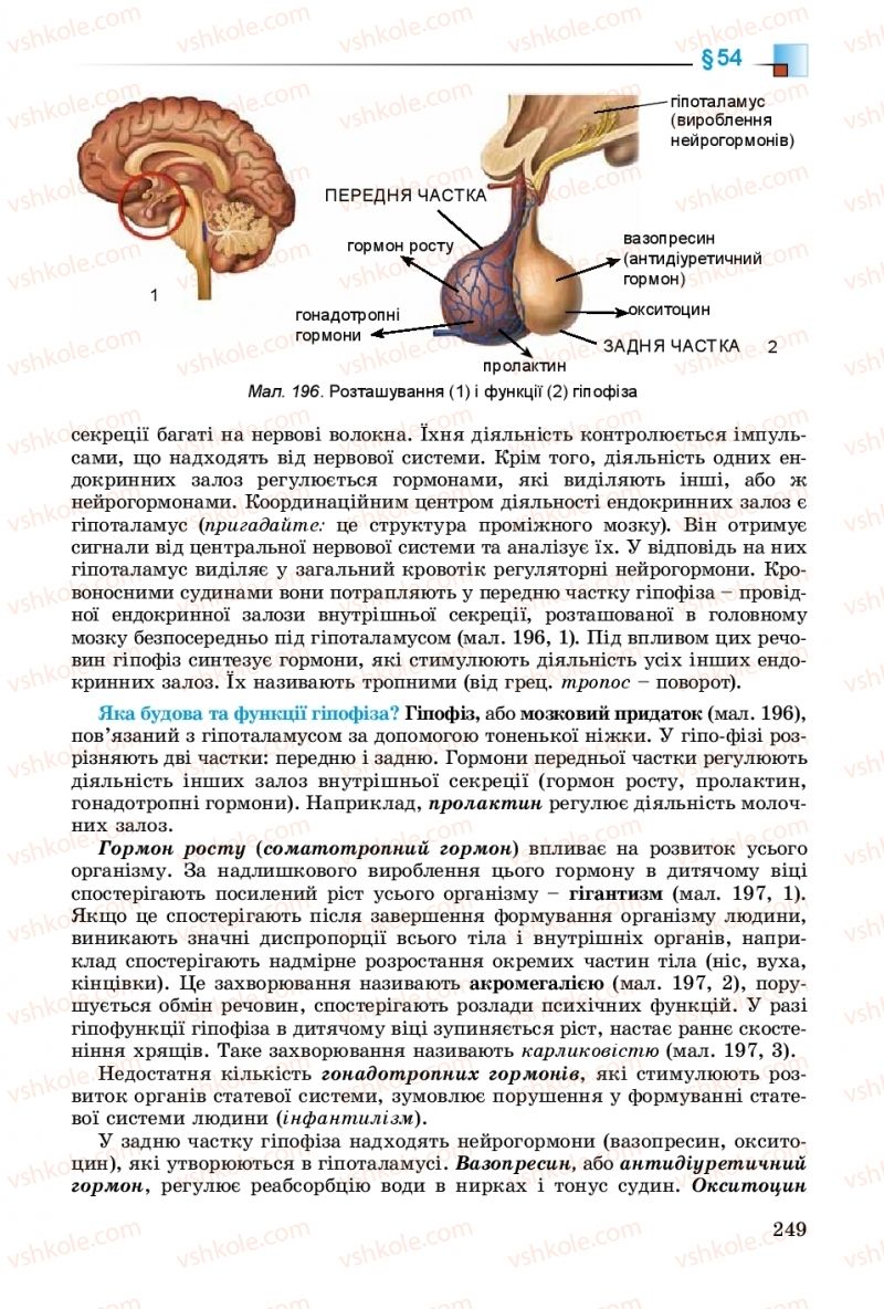 Страница 249 | Підручник Біологія 8 клас Н.Ю. Матяш 2016