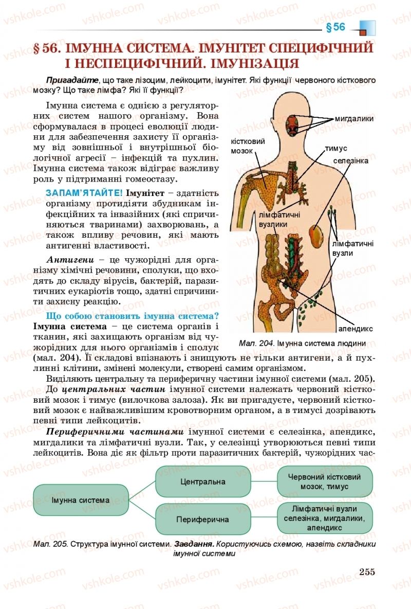 Страница 255 | Підручник Біологія 8 клас Н.Ю. Матяш 2016