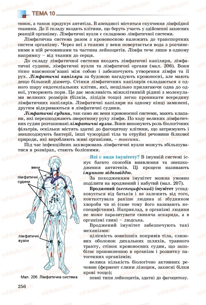 Страница 256 | Підручник Біологія 8 клас Н.Ю. Матяш 2016