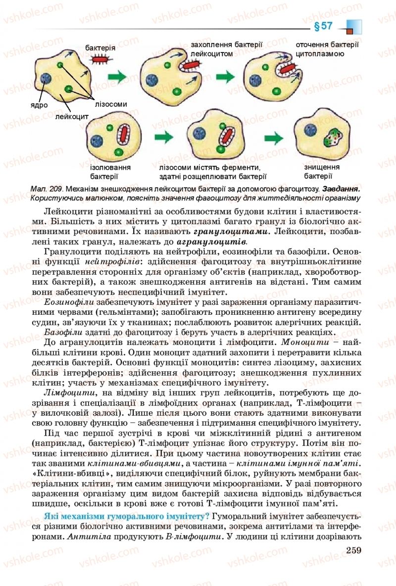 Страница 259 | Підручник Біологія 8 клас Н.Ю. Матяш 2016