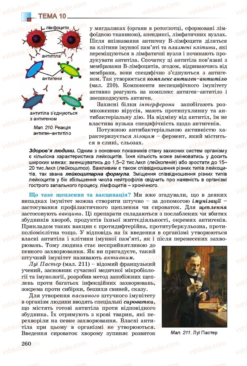 Страница 260 | Підручник Біологія 8 клас Н.Ю. Матяш 2016