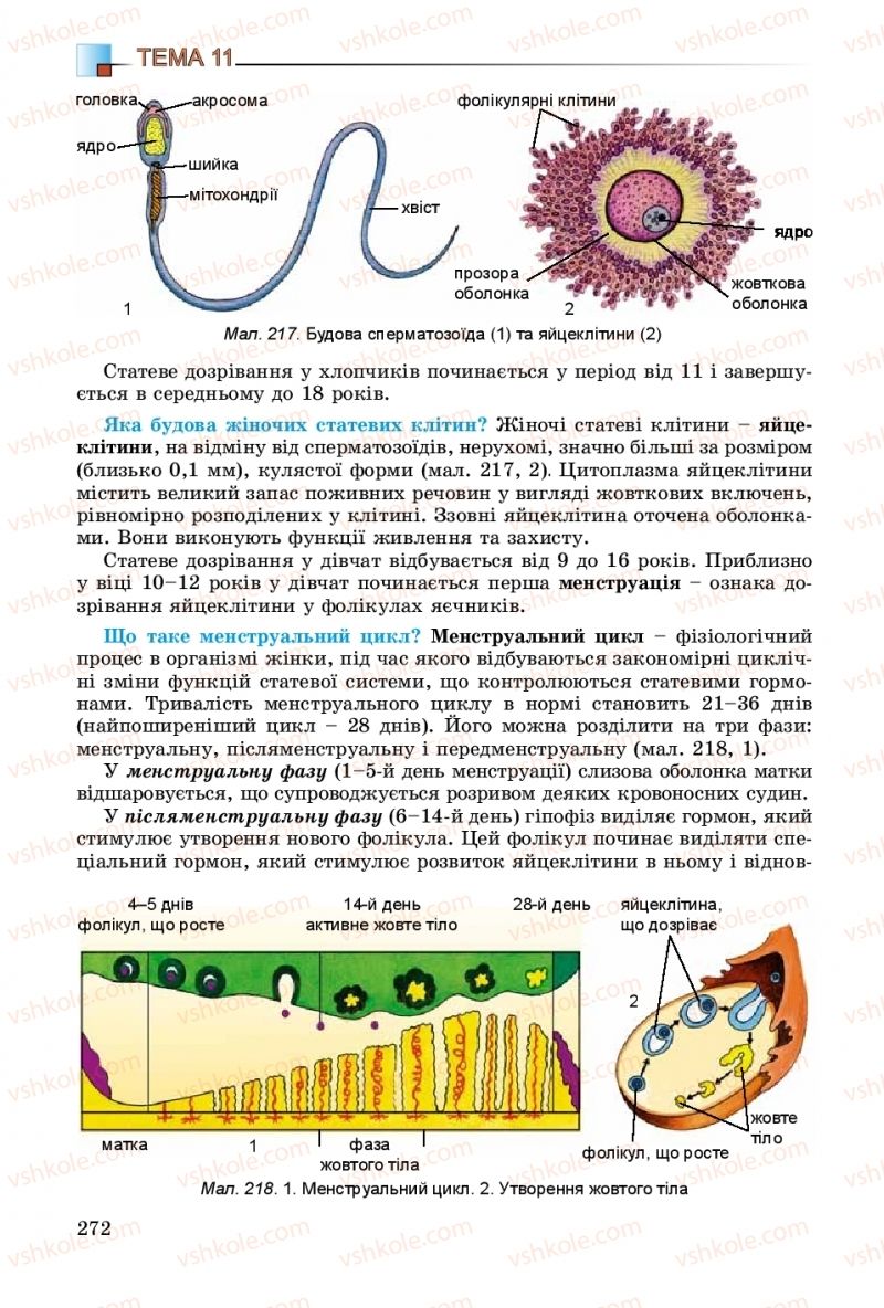 Страница 272 | Підручник Біологія 8 клас Н.Ю. Матяш 2016