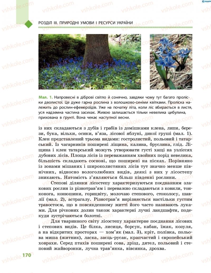Страница 170 | Підручник Географія 8 клас Г.Д. Довгань, О.Г. Стадник 2016