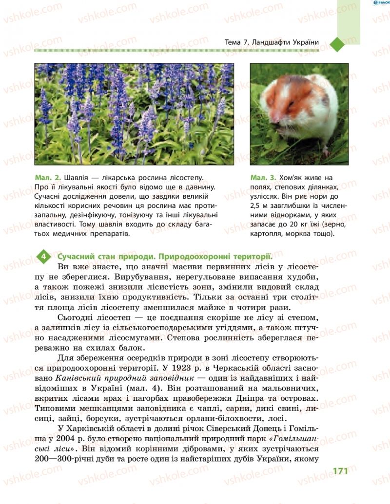 Страница 171 | Підручник Географія 8 клас Г.Д. Довгань, О.Г. Стадник 2016