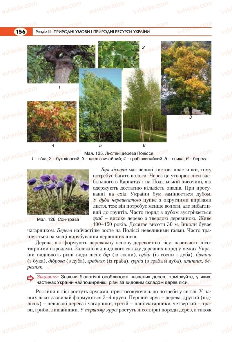 Страница 156 | Підручник Географія 8 клас С.Г. Кобернік, Р.Р. Коваленко 2016