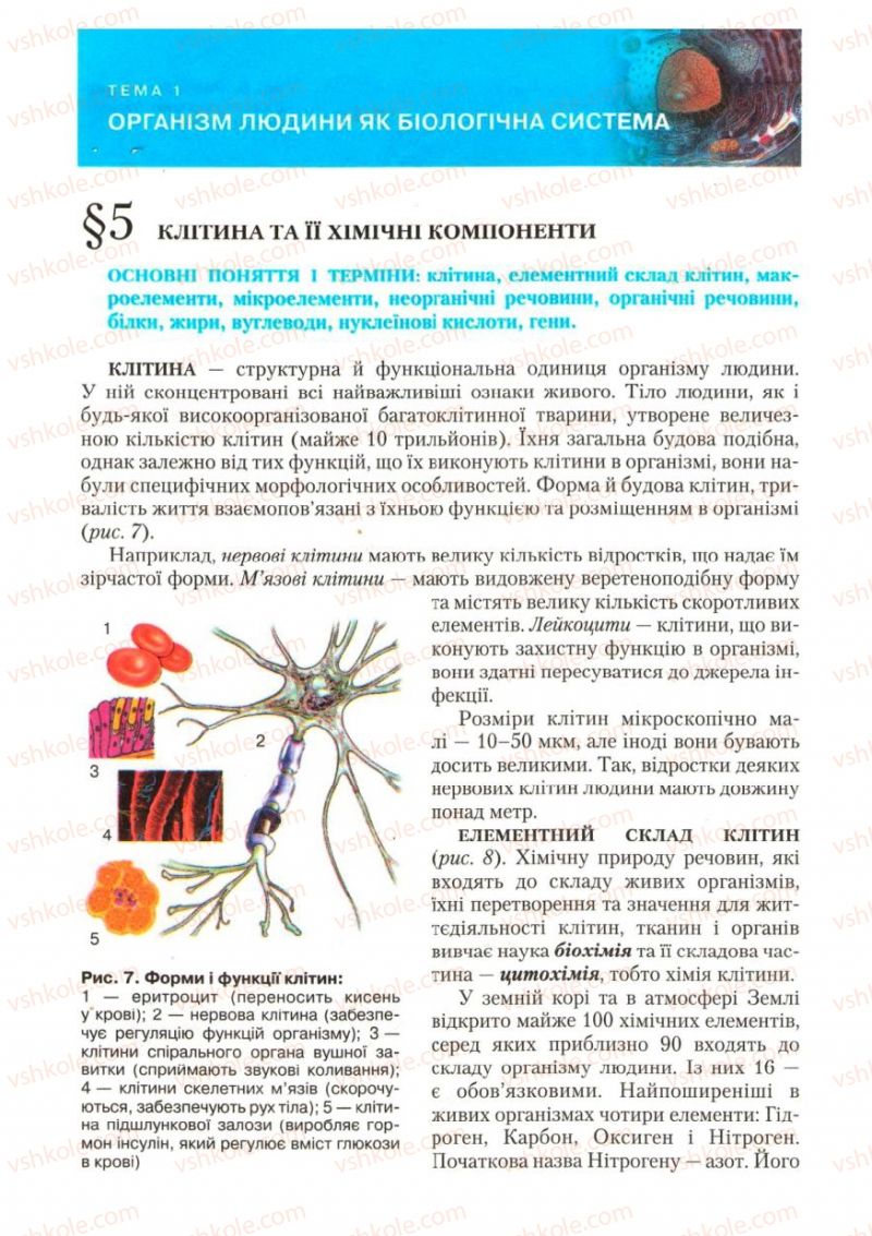 Страница 16 | Підручник Біологія 9 клас С.В. Страшко, Л.Г. Горяна, В.Г. Білик, С.А. Ігнатенко 2009