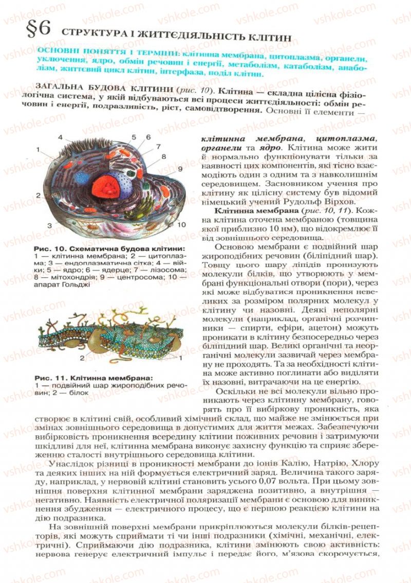 Страница 20 | Підручник Біологія 9 клас С.В. Страшко, Л.Г. Горяна, В.Г. Білик, С.А. Ігнатенко 2009