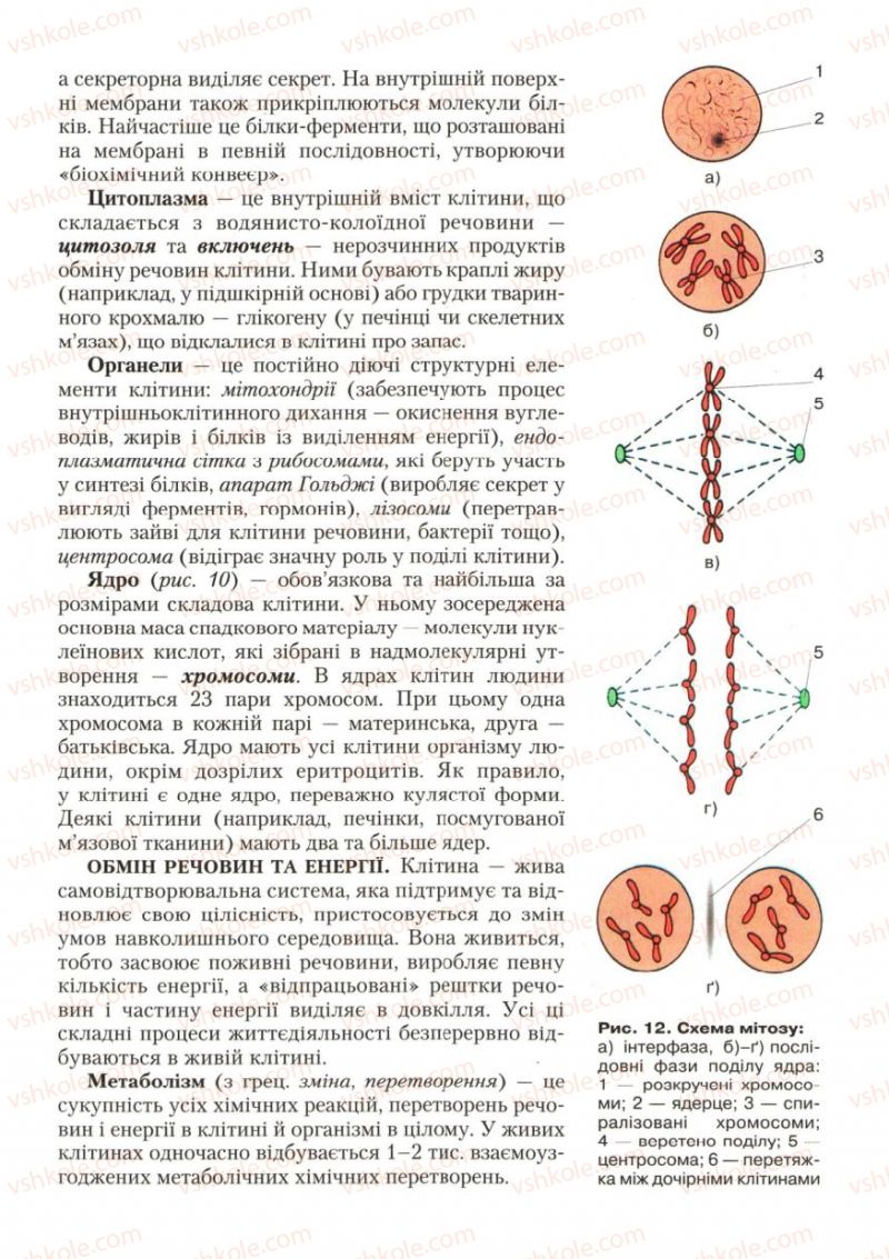 Страница 21 | Підручник Біологія 9 клас С.В. Страшко, Л.Г. Горяна, В.Г. Білик, С.А. Ігнатенко 2009