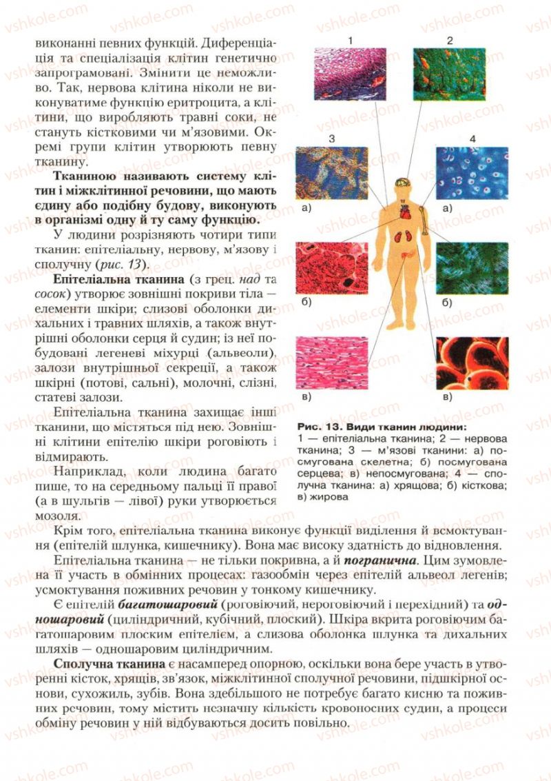 Страница 23 | Підручник Біологія 9 клас С.В. Страшко, Л.Г. Горяна, В.Г. Білик, С.А. Ігнатенко 2009