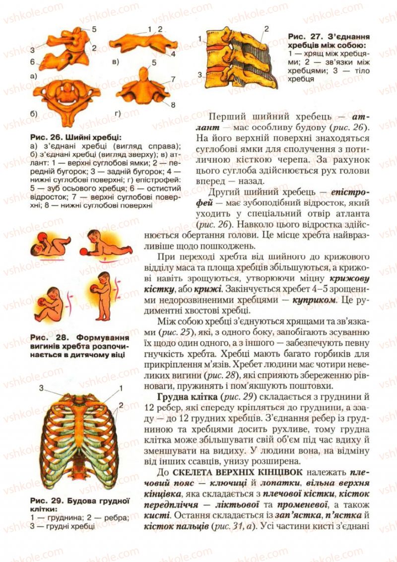 Страница 34 | Підручник Біологія 9 клас С.В. Страшко, Л.Г. Горяна, В.Г. Білик, С.А. Ігнатенко 2009