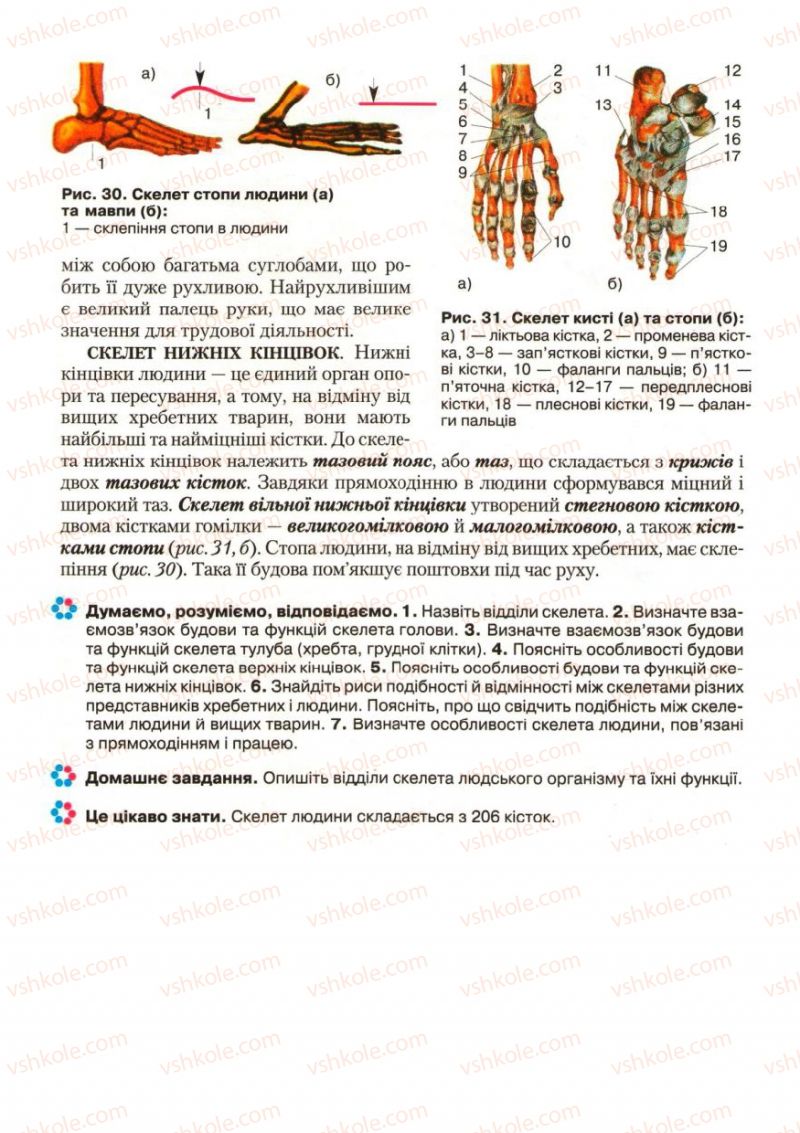 Страница 35 | Підручник Біологія 9 клас С.В. Страшко, Л.Г. Горяна, В.Г. Білик, С.А. Ігнатенко 2009
