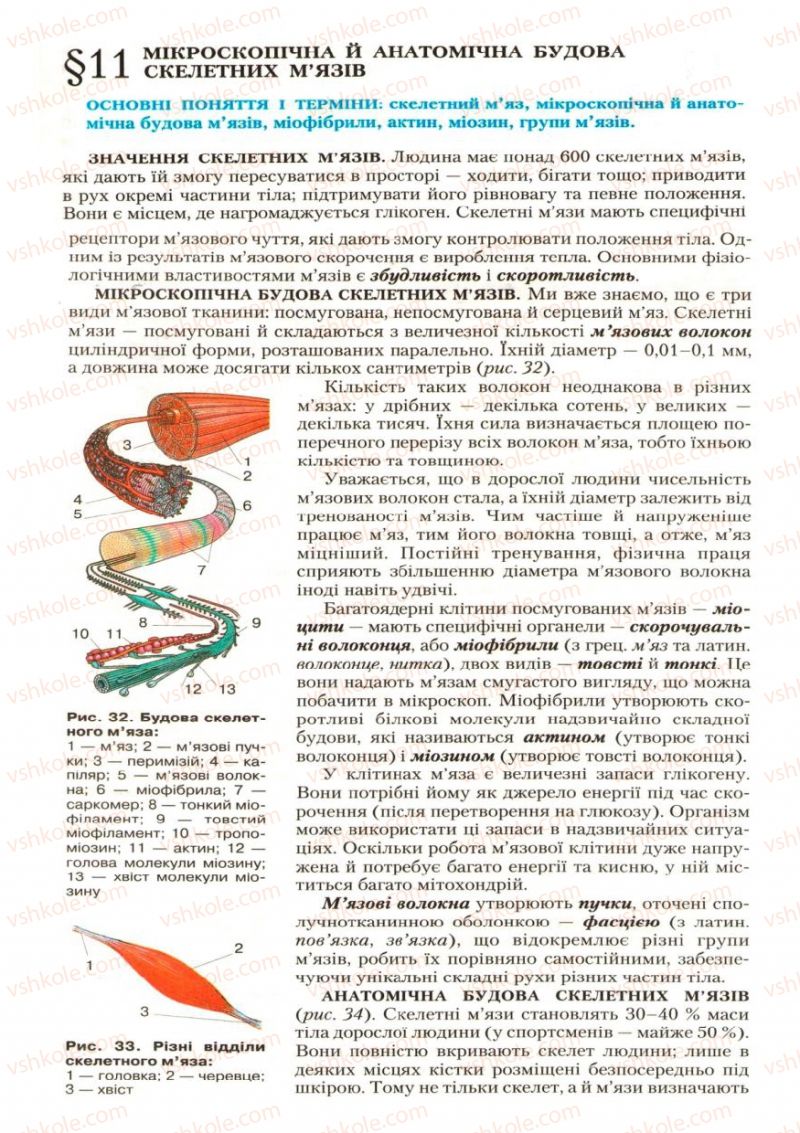 Страница 36 | Підручник Біологія 9 клас С.В. Страшко, Л.Г. Горяна, В.Г. Білик, С.А. Ігнатенко 2009
