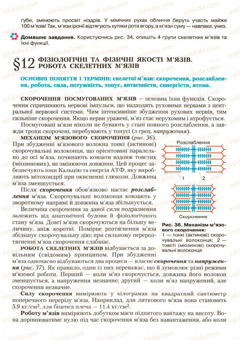 Страница 39 | Підручник Біологія 9 клас С.В. Страшко, Л.Г. Горяна, В.Г. Білик, С.А. Ігнатенко 2009
