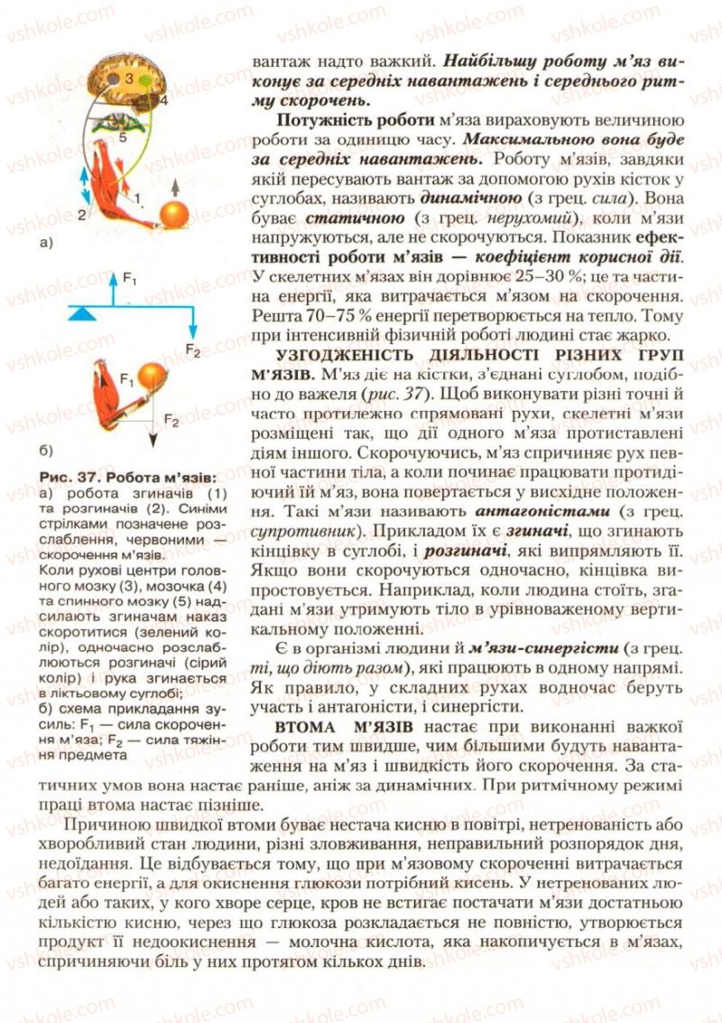 Страница 40 | Підручник Біологія 9 клас С.В. Страшко, Л.Г. Горяна, В.Г. Білик, С.А. Ігнатенко 2009