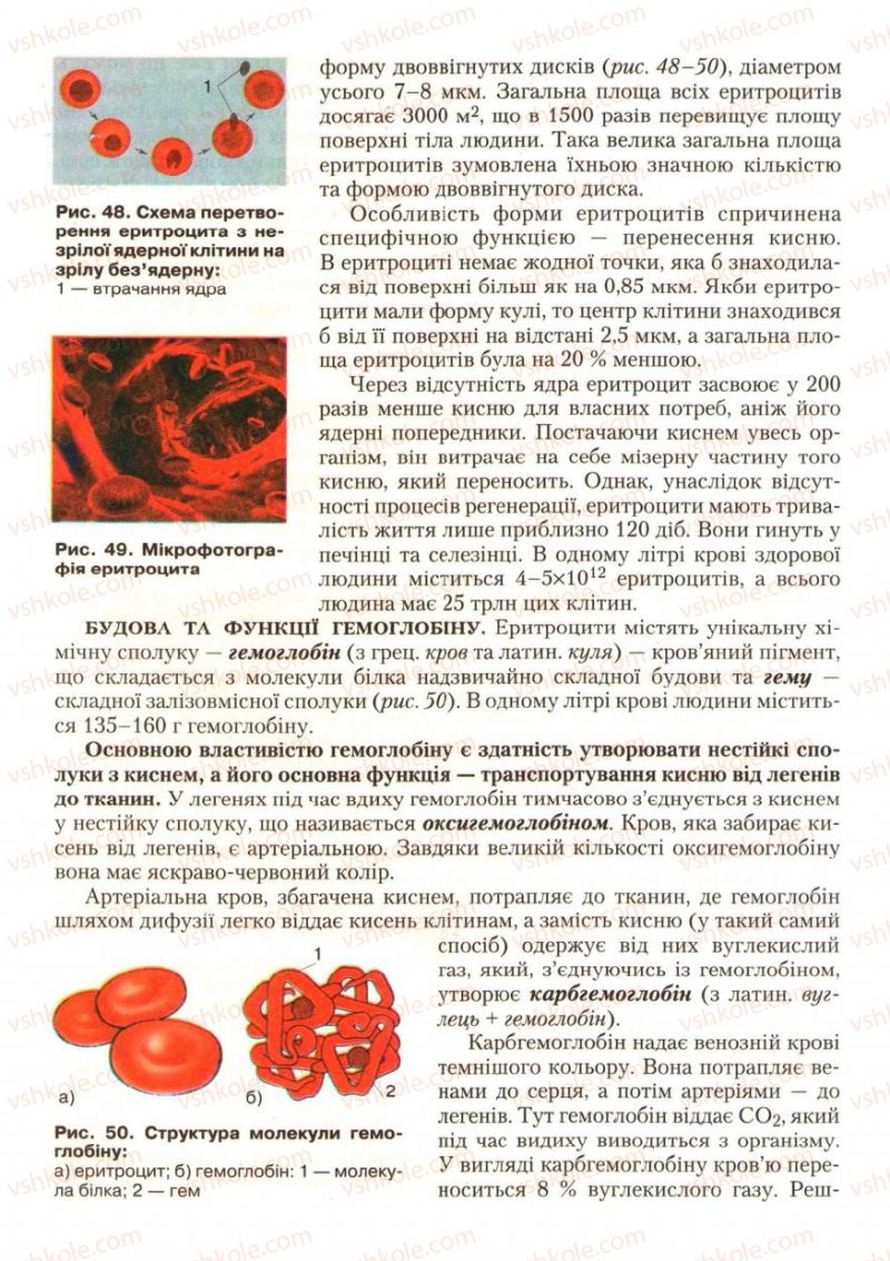Страница 52 | Підручник Біологія 9 клас С.В. Страшко, Л.Г. Горяна, В.Г. Білик, С.А. Ігнатенко 2009