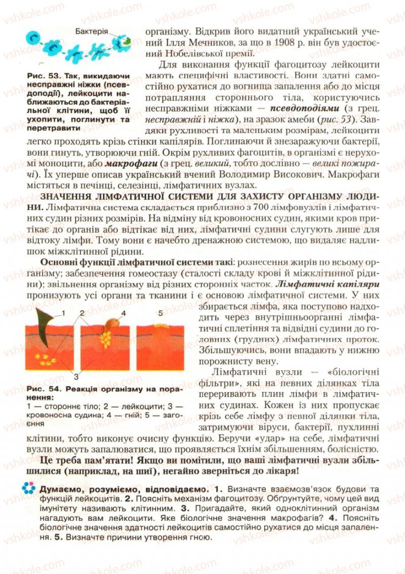 Страница 60 | Підручник Біологія 9 клас С.В. Страшко, Л.Г. Горяна, В.Г. Білик, С.А. Ігнатенко 2009
