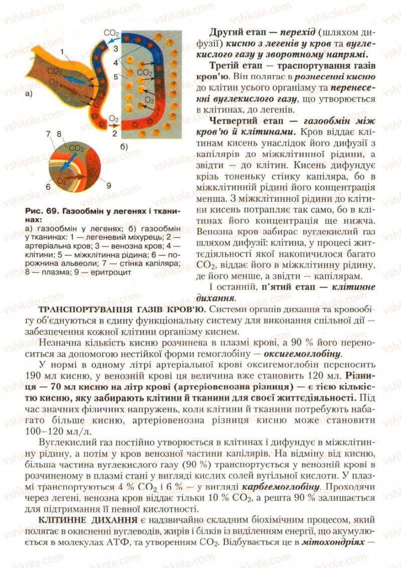 Страница 84 | Підручник Біологія 9 клас С.В. Страшко, Л.Г. Горяна, В.Г. Білик, С.А. Ігнатенко 2009