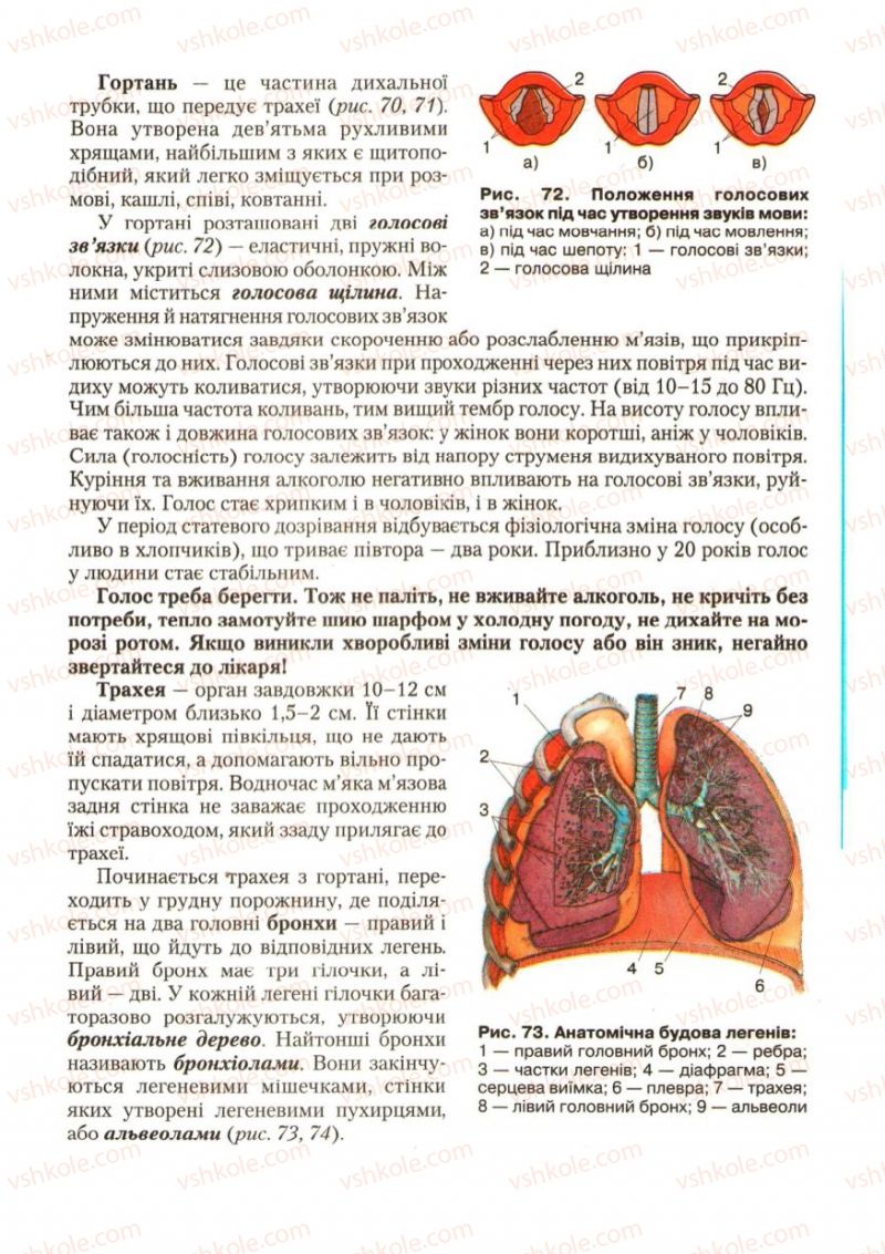 Страница 87 | Підручник Біологія 9 клас С.В. Страшко, Л.Г. Горяна, В.Г. Білик, С.А. Ігнатенко 2009