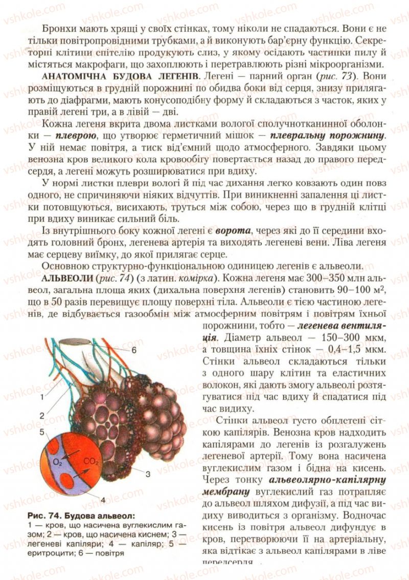 Страница 88 | Підручник Біологія 9 клас С.В. Страшко, Л.Г. Горяна, В.Г. Білик, С.А. Ігнатенко 2009