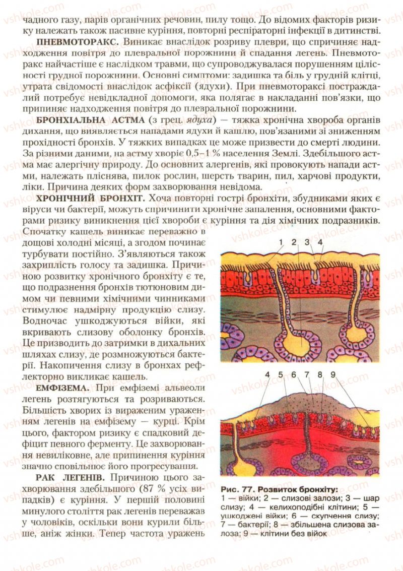 Страница 95 | Підручник Біологія 9 клас С.В. Страшко, Л.Г. Горяна, В.Г. Білик, С.А. Ігнатенко 2009