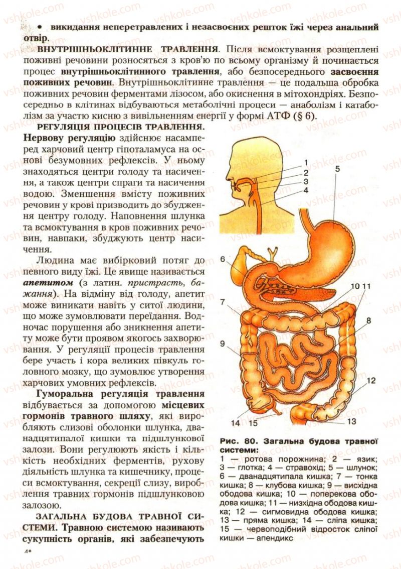 Страница 99 | Підручник Біологія 9 клас С.В. Страшко, Л.Г. Горяна, В.Г. Білик, С.А. Ігнатенко 2009