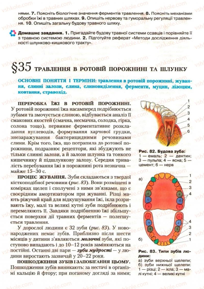 Страница 101 | Підручник Біологія 9 клас С.В. Страшко, Л.Г. Горяна, В.Г. Білик, С.А. Ігнатенко 2009