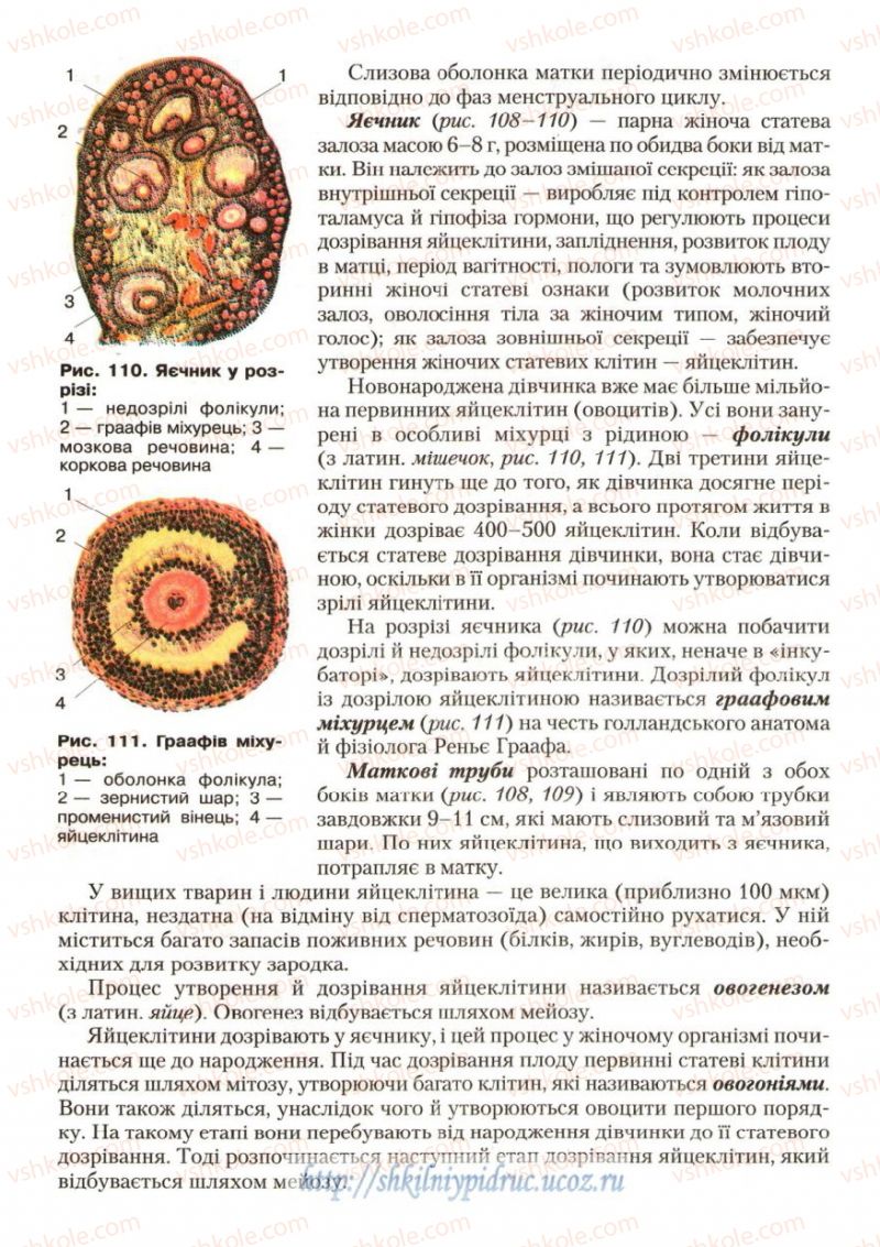 Страница 146 | Підручник Біологія 9 клас С.В. Страшко, Л.Г. Горяна, В.Г. Білик, С.А. Ігнатенко 2009