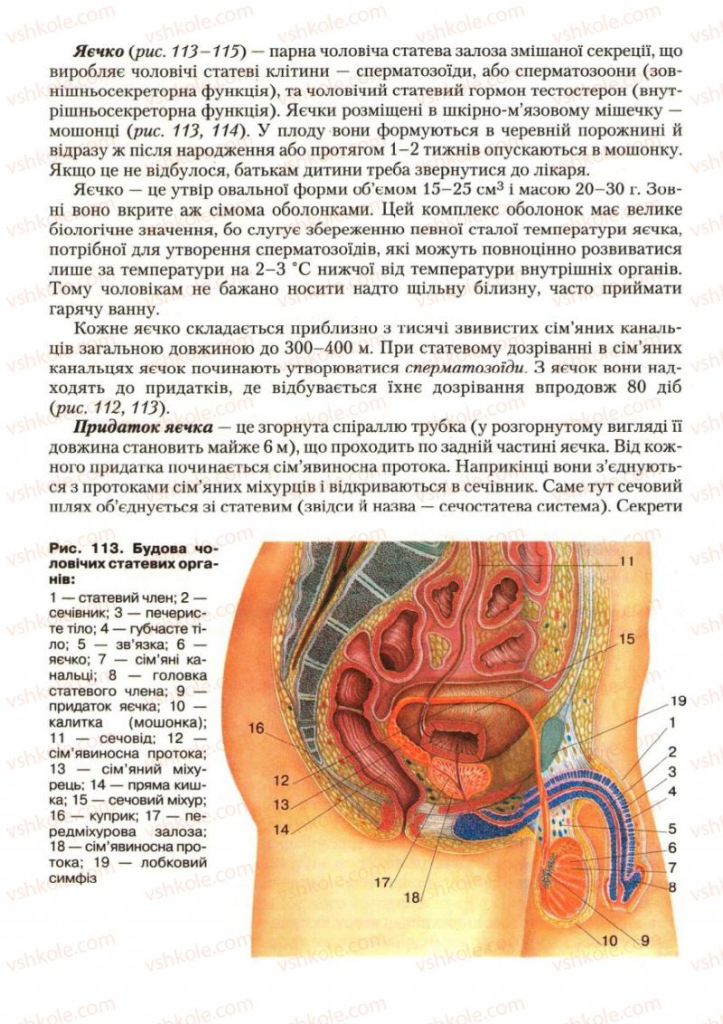 Страница 148 | Підручник Біологія 9 клас С.В. Страшко, Л.Г. Горяна, В.Г. Білик, С.А. Ігнатенко 2009