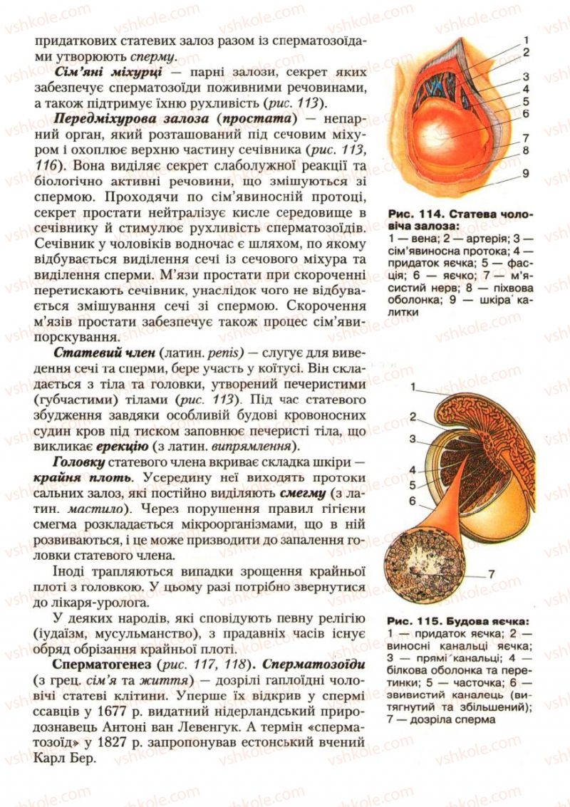 Страница 149 | Підручник Біологія 9 клас С.В. Страшко, Л.Г. Горяна, В.Г. Білик, С.А. Ігнатенко 2009