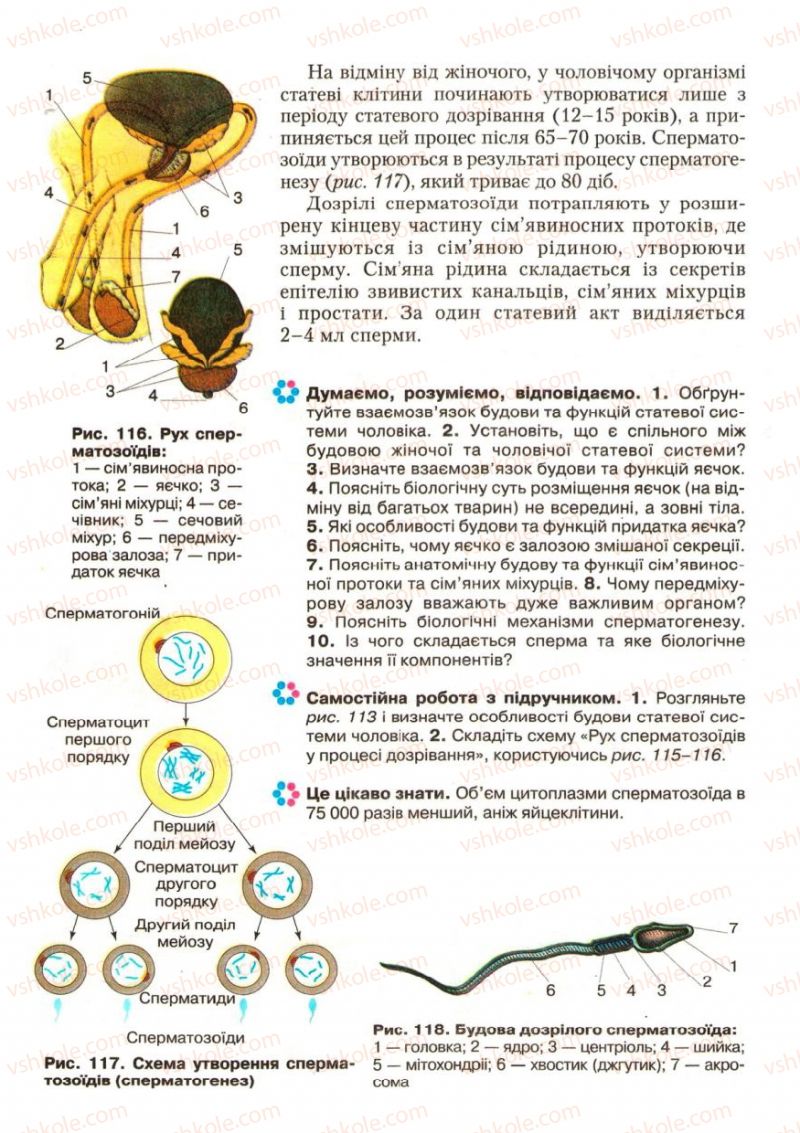 Страница 150 | Підручник Біологія 9 клас С.В. Страшко, Л.Г. Горяна, В.Г. Білик, С.А. Ігнатенко 2009
