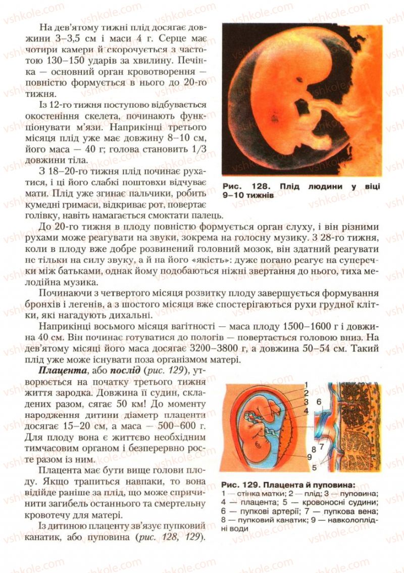 Страница 159 | Підручник Біологія 9 клас С.В. Страшко, Л.Г. Горяна, В.Г. Білик, С.А. Ігнатенко 2009