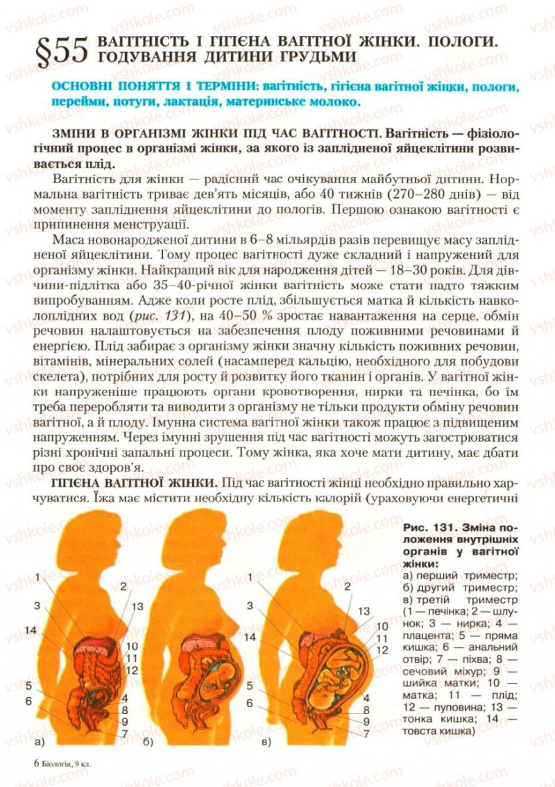 Страница 161 | Підручник Біологія 9 клас С.В. Страшко, Л.Г. Горяна, В.Г. Білик, С.А. Ігнатенко 2009