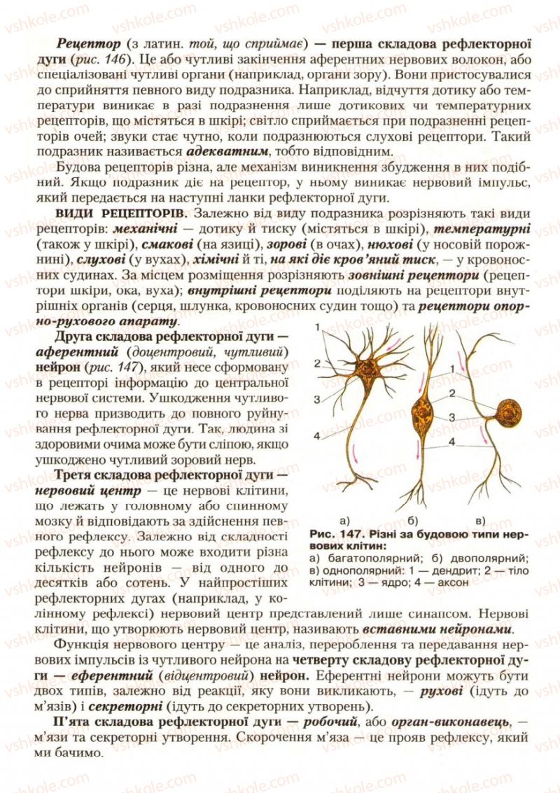 Страница 173 | Підручник Біологія 9 клас С.В. Страшко, Л.Г. Горяна, В.Г. Білик, С.А. Ігнатенко 2009