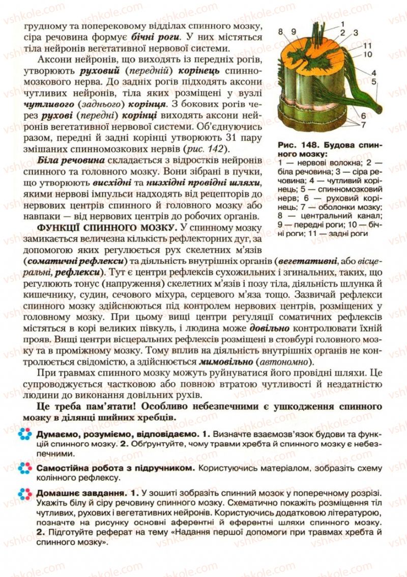 Страница 175 | Підручник Біологія 9 клас С.В. Страшко, Л.Г. Горяна, В.Г. Білик, С.А. Ігнатенко 2009