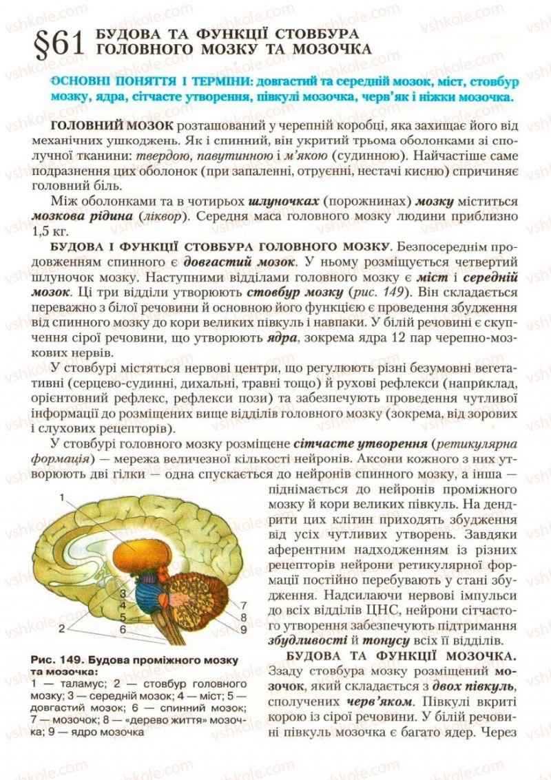 Страница 176 | Підручник Біологія 9 клас С.В. Страшко, Л.Г. Горяна, В.Г. Білик, С.А. Ігнатенко 2009