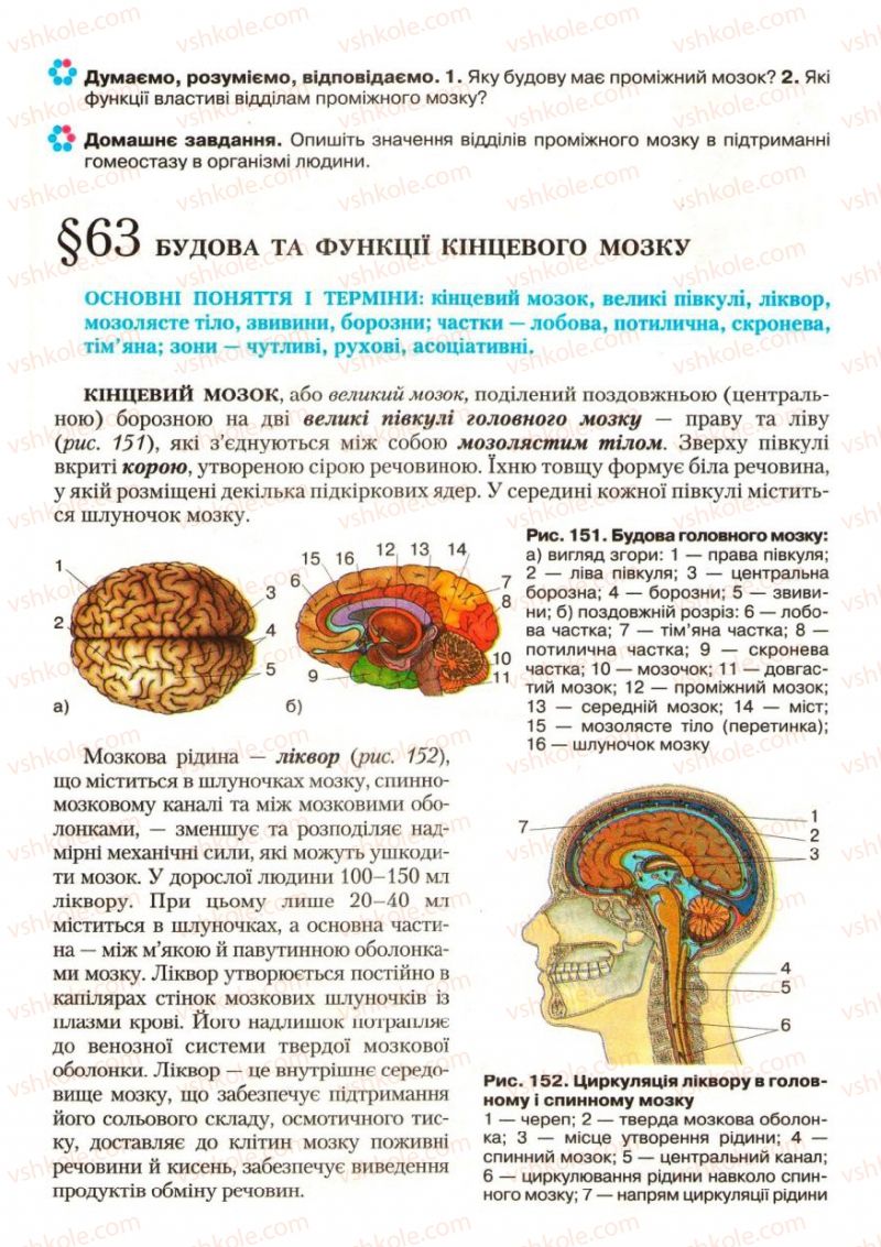 Страница 179 | Підручник Біологія 9 клас С.В. Страшко, Л.Г. Горяна, В.Г. Білик, С.А. Ігнатенко 2009