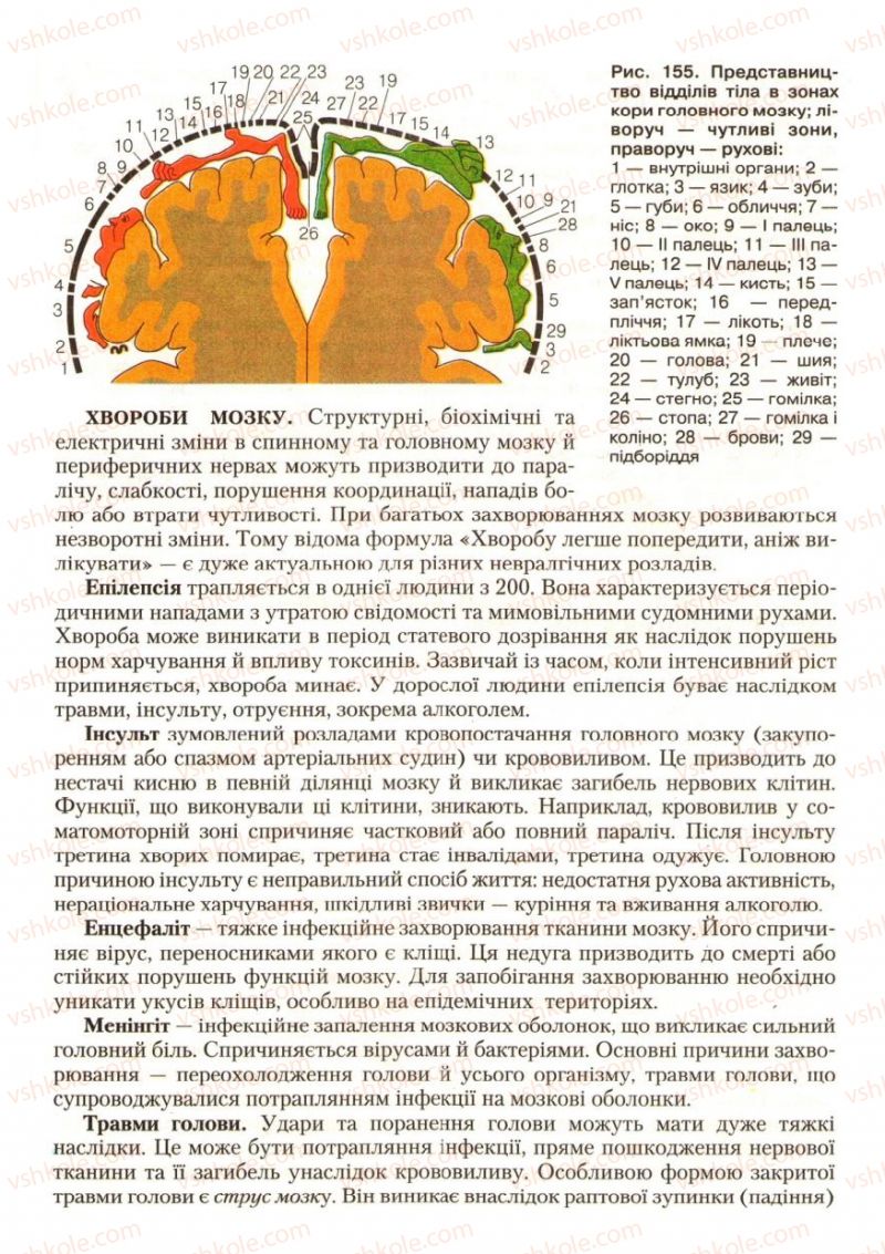 Страница 181 | Підручник Біологія 9 клас С.В. Страшко, Л.Г. Горяна, В.Г. Білик, С.А. Ігнатенко 2009