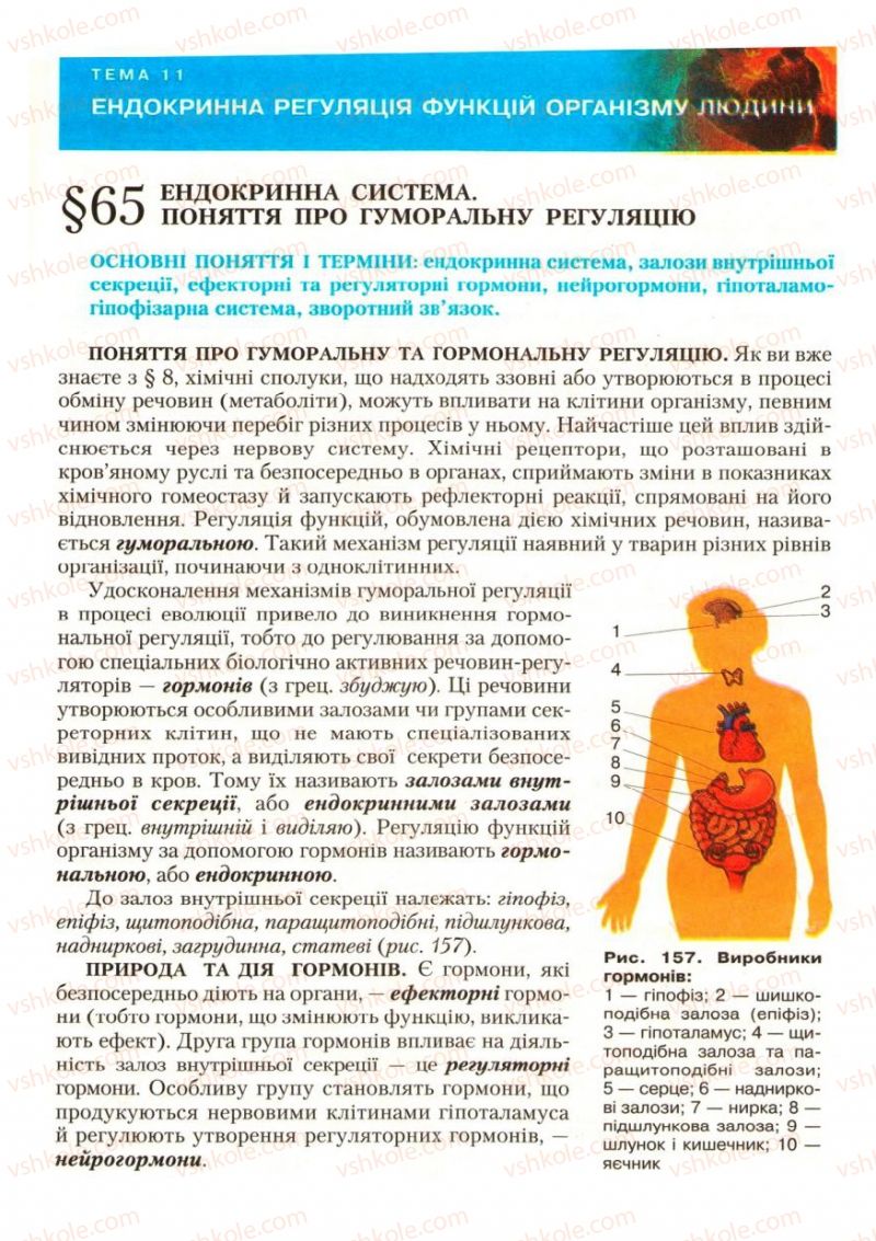 Страница 185 | Підручник Біологія 9 клас С.В. Страшко, Л.Г. Горяна, В.Г. Білик, С.А. Ігнатенко 2009