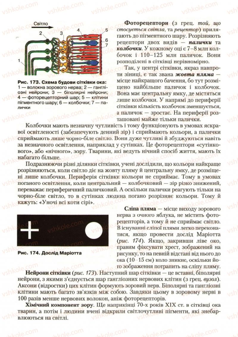 Страница 206 | Підручник Біологія 9 клас С.В. Страшко, Л.Г. Горяна, В.Г. Білик, С.А. Ігнатенко 2009