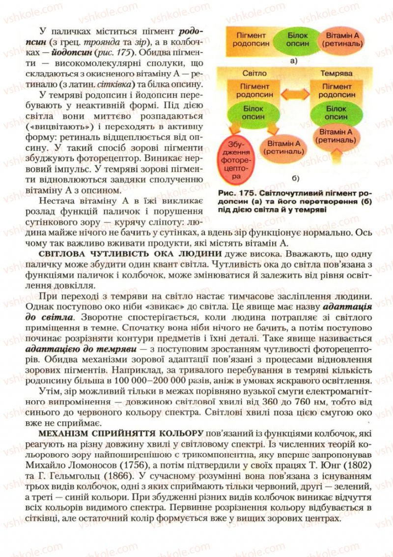 Страница 207 | Підручник Біологія 9 клас С.В. Страшко, Л.Г. Горяна, В.Г. Білик, С.А. Ігнатенко 2009